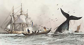 Pyrénées Atlantiques